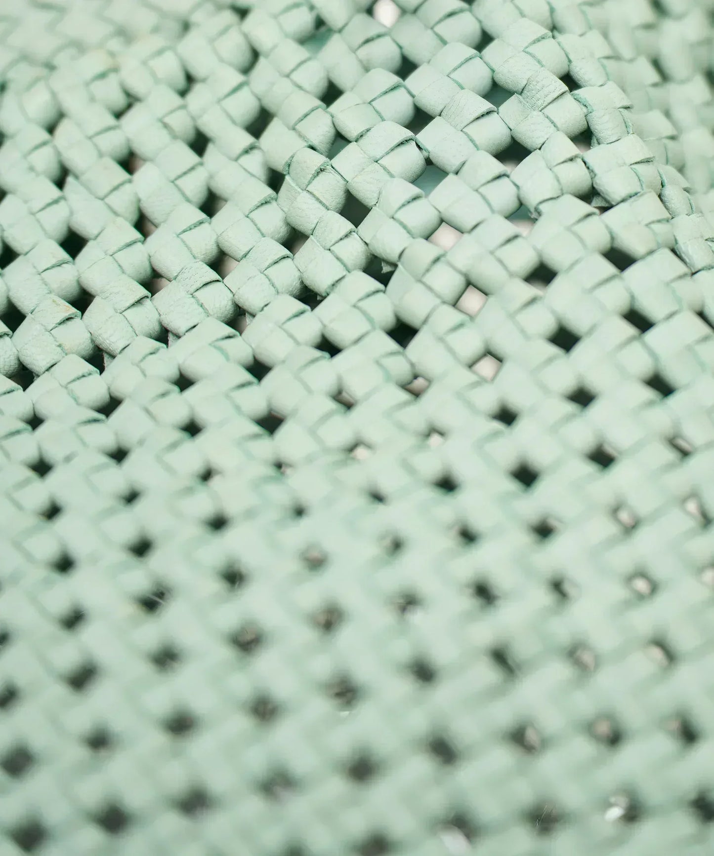 Tassel tote bag (sage green) / goatskin "GOAT MESH " - REN WEB SHOP