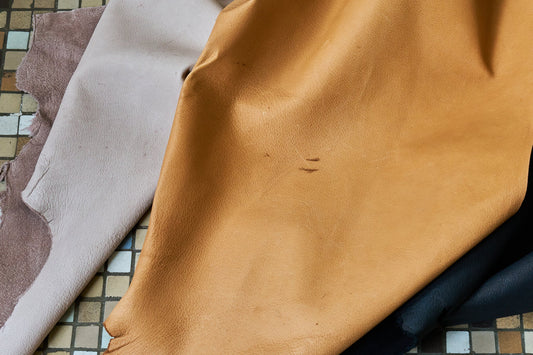 A Steadfast Perspective on “Scars and Variations”