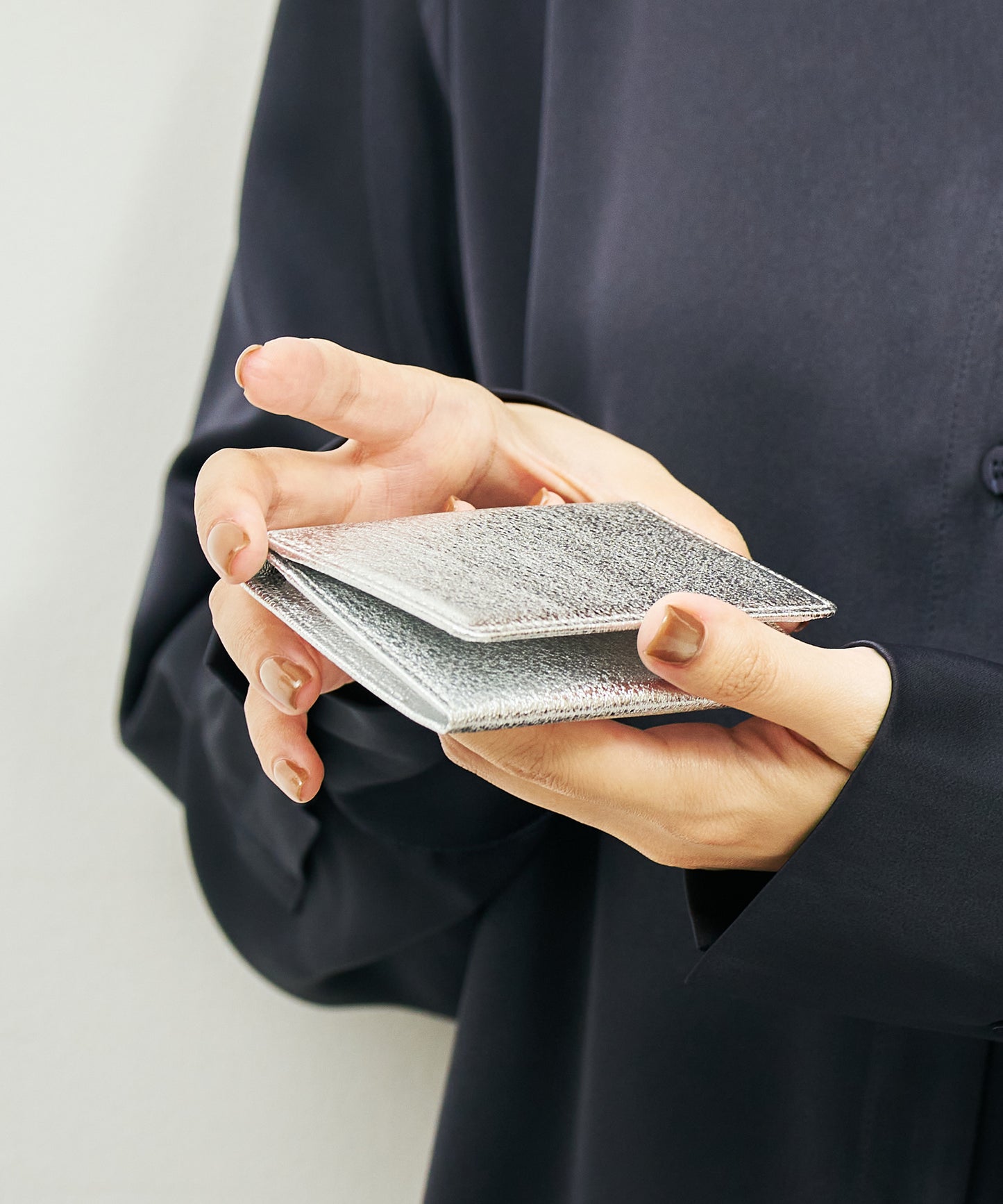 Card Case / goatskin Glitter