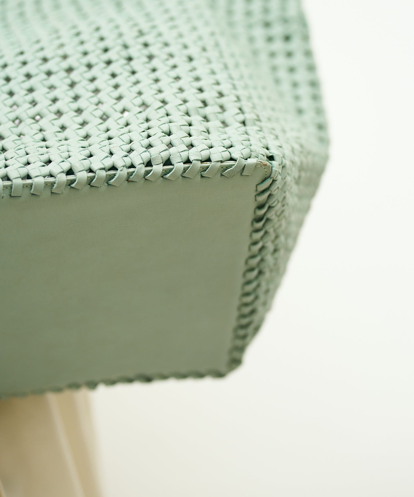 #16/ Book carry (sage green) / goatskin "GOAT MESH"